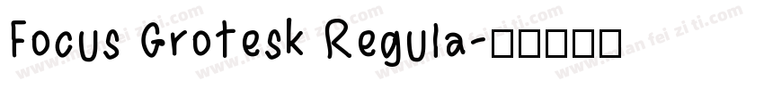 Focus Grotesk Regula字体转换